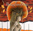 Illustrated CD Cover Titled Brazilian Beats