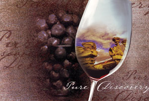 wine glass Pure Discovery image